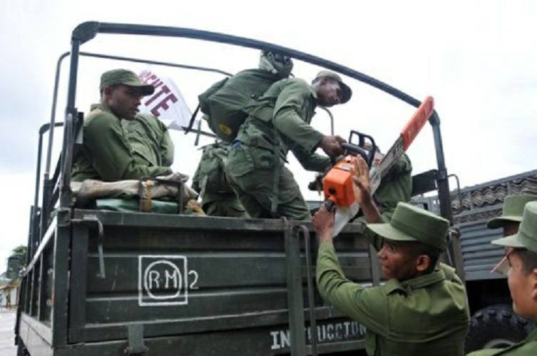 CUBA: RENACE LENTAMENTE LUEGO DEL PASO DEL HURACÁN IRMA